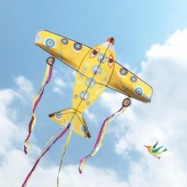 Active And Outdoor |   Maxi Plane Kite Active And Outdoor Active And Outdoor