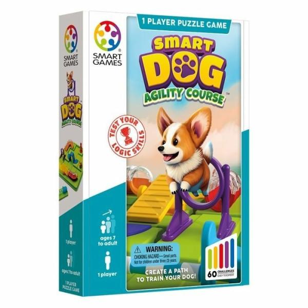 Brainteasers |   Smart Dog Board Games Brainteasers